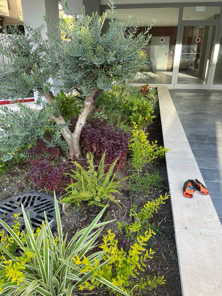 עיצוב גינה בבניין משותף